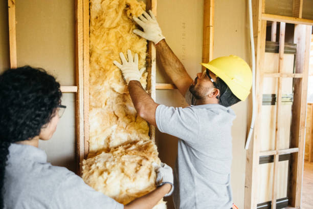 Best Insulation Contractor Near Me  in Riverview, DE