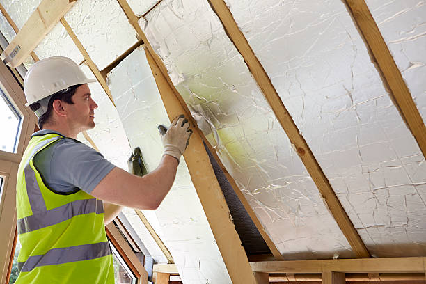 Best Commercial Insulation Contractor  in Riverview, DE